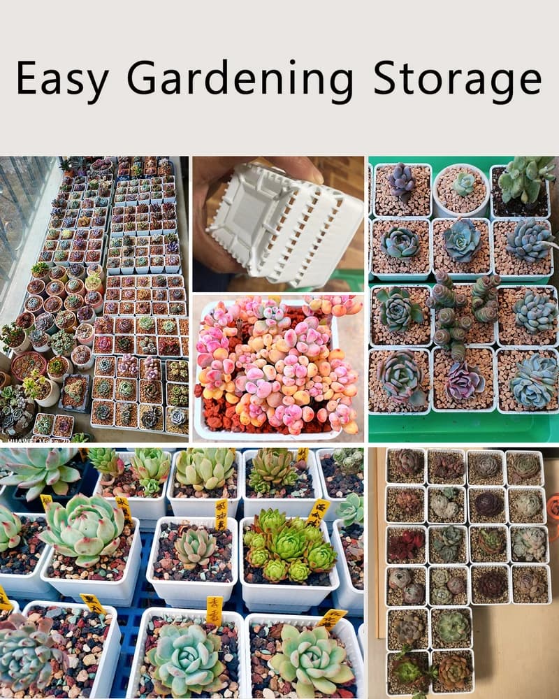 Vasos brancos para suculentas organizados para fácil armazenamento e cultivo em jardinagem doméstica
