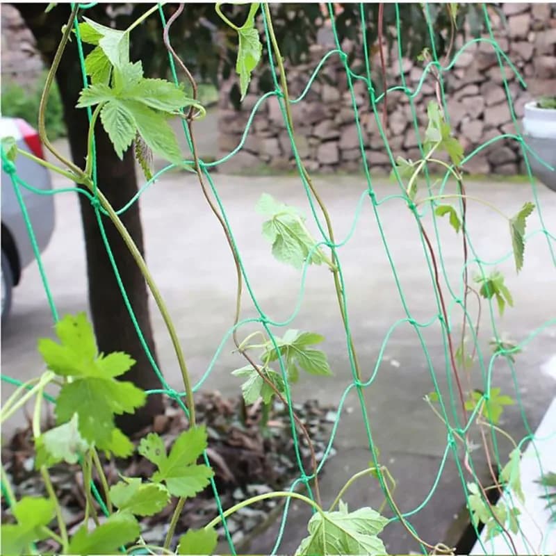 Rede de escalada verde para plantas trepadeiras, suporte com malha 10x10cm em área externa