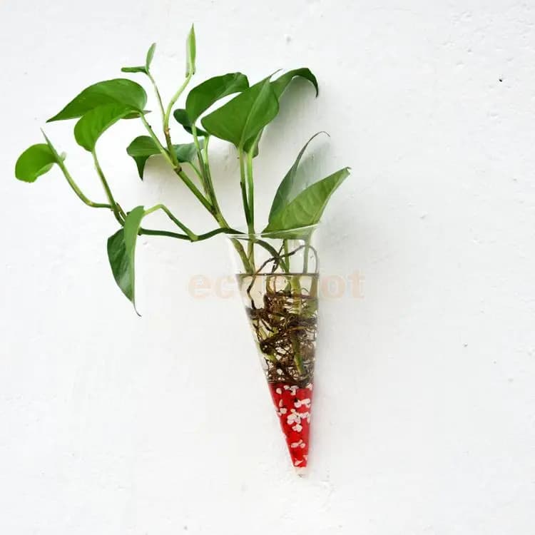 Vaso de parede transparente com planta verde pendente e água azul