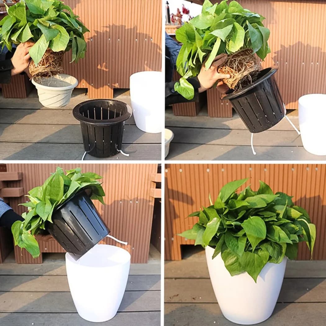 Demonstração montagem vaso autoirrigável Jácotei branco com planta e cesto interno preto com corda absorvente