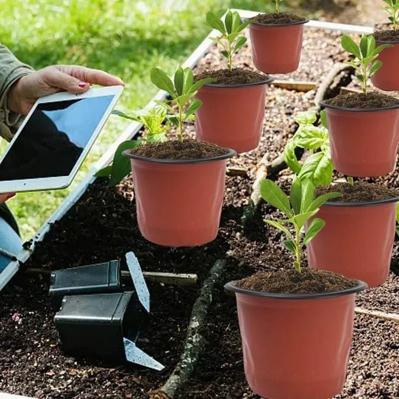 Vasos de plástico marrom e preto para plantio, 100 peças, com uma planta verde no centro