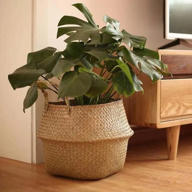 Cesta de armazenamento Jácotei trançada marrom claro com alças, usada como vaso para planta grande