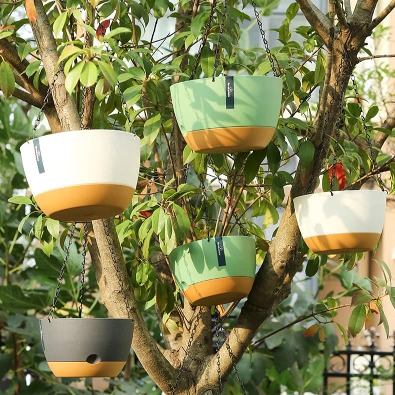 Vasos de flores suspensos Jácotei em cores sortidas pendurados em árvore com corrente metálica