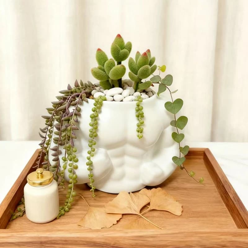 Vaso branco decorativo em escultura de homem musculoso com plantas verdes e pedras brancas