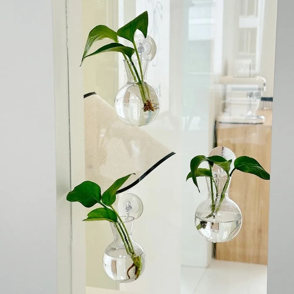 Conjunto de 4 vasos transparentes de parede com plantas hidropônicas