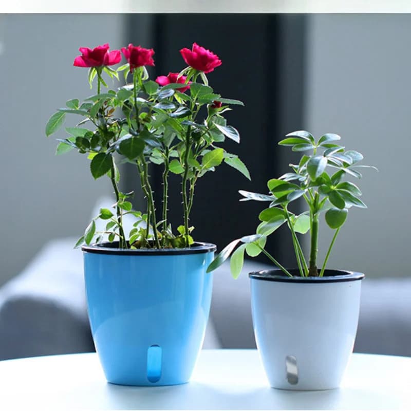 Vasos de flores preguiçosos em azul e branco com flores vermelhas e sistema de rega automática visível