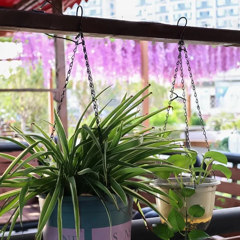 Correntes pretas ajustáveis pendurando vasos de plantas em área externa com decoração colorida