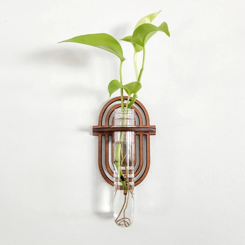 Vaso de parede para plantas com suporte de madeira e recipiente transparente
