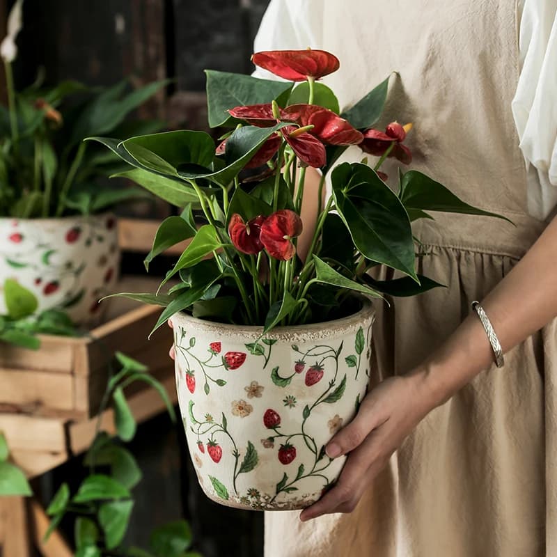 Vaso de cerâmica com estampa de morangos e flores contendo planta vermelha