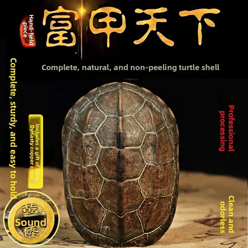 Ornamento de Concha de Tartaruga Natural Genuína com Moeda de Cobre Qi Ba Qi, Amuleto da Sorte, Artesanato Portátil Estilo Chinês para Presentes