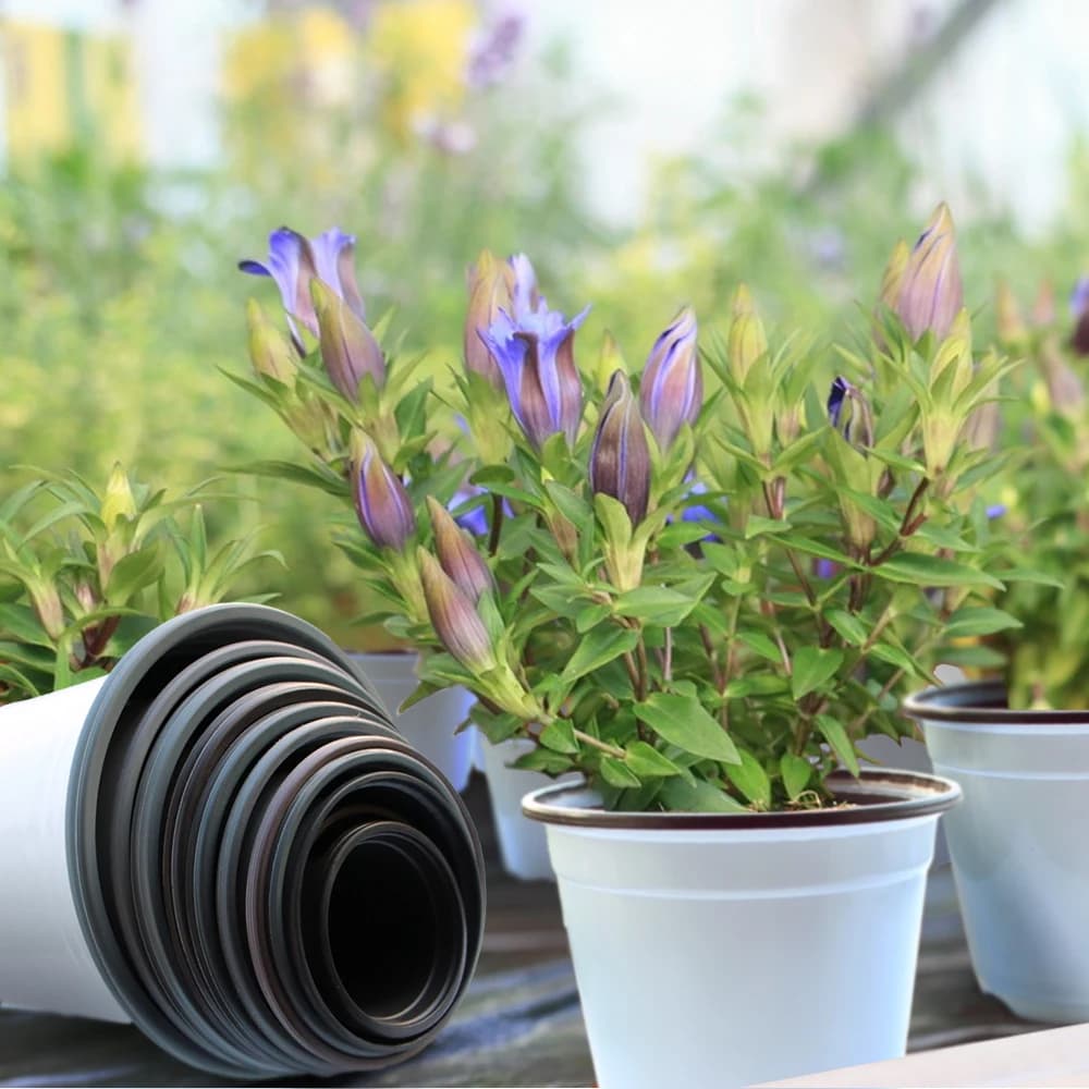 Vasos para plantas pequenos brancos de plástico respirável com flores roxas ao fundo