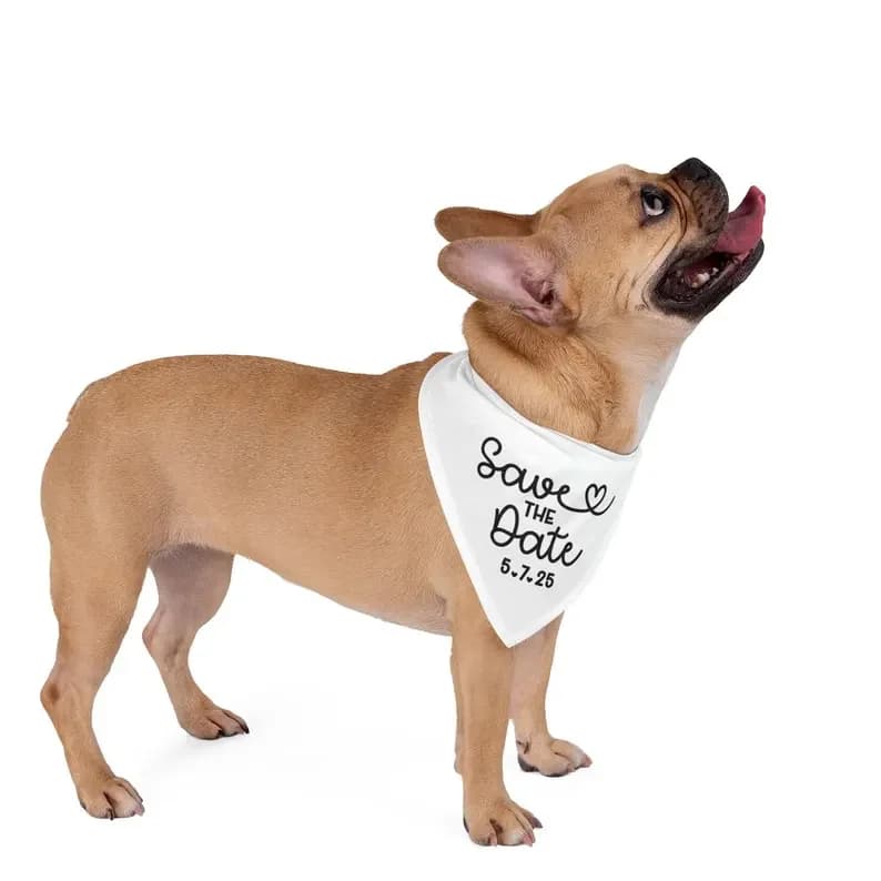 Bandana para cachorro personalizada branca com texto Save The Date 5.7.25 em tecido para pets