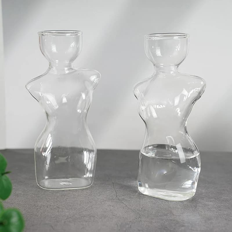 Vasos de vidro transparente com sementes de abacate em crescimento, em forma de busto feminino, sobre uma superfície de madeira.