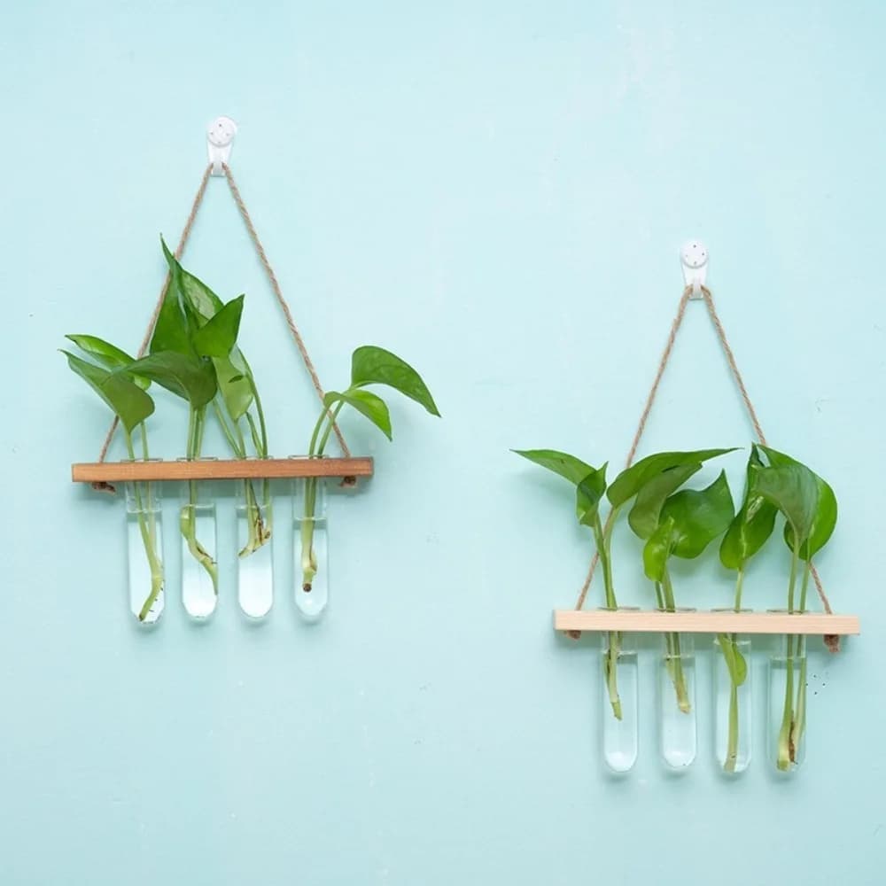 Suporte de parede para plantas hidropônicas com três tubos de vidro e corda de cânhamo