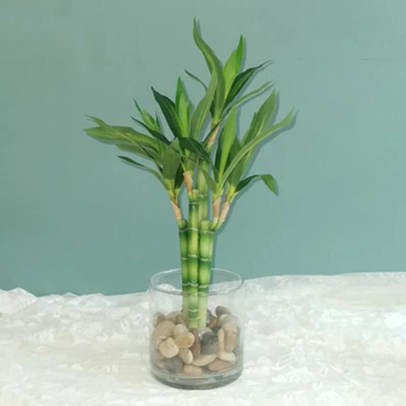 Novo 40cm rftificial sorte bambu suculenta planta falsa flor verde vaso jardim ao ar livre mesa de jantar tanque de peixes decoração para casa