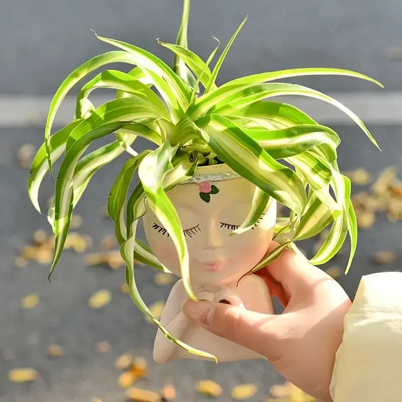 Vaso de resina em forma de cabeça de senhora para suculentas e plantas verdes, decoração para casa