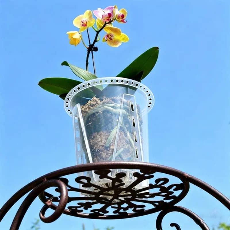 Vaso respirável transparente para orquídeas com furos laterais, planta com flores amarelas ao céu azul