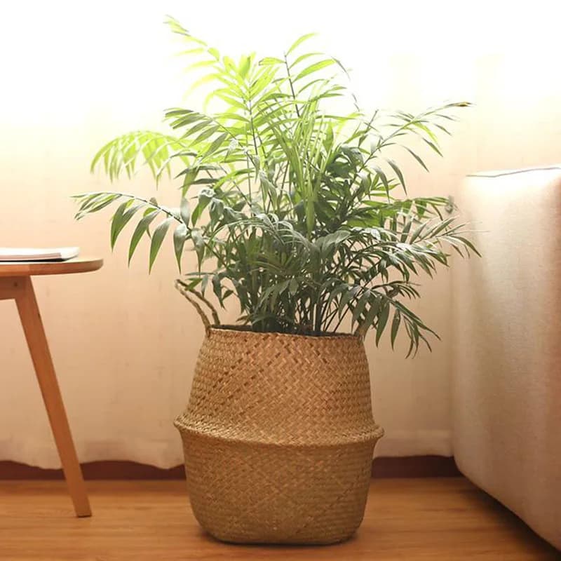 Cesta de armazenamento Jácotei trançada marrom claro com alças, decorando ambiente com planta verde