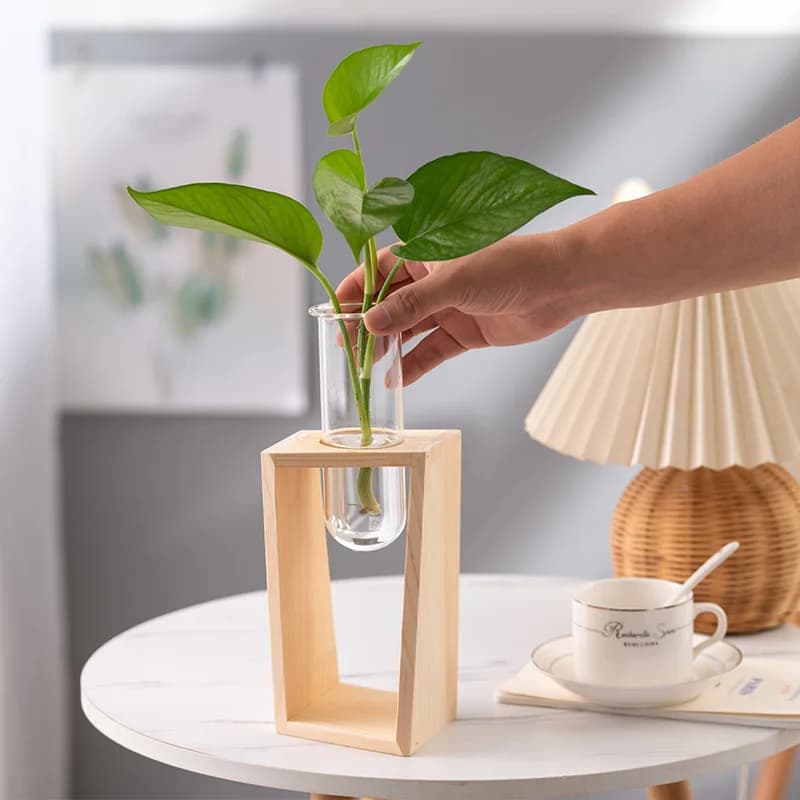 Vaso decorativo hidropônico de madeira clara e vidro com planta verde em ambiente interno