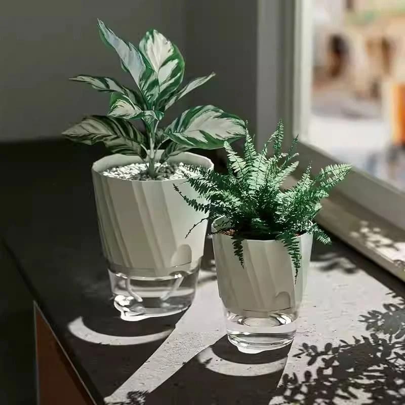 Conjunto de vasos hidropônicos autoirrigáveis brancos em plástico transparente com plantas decorativas