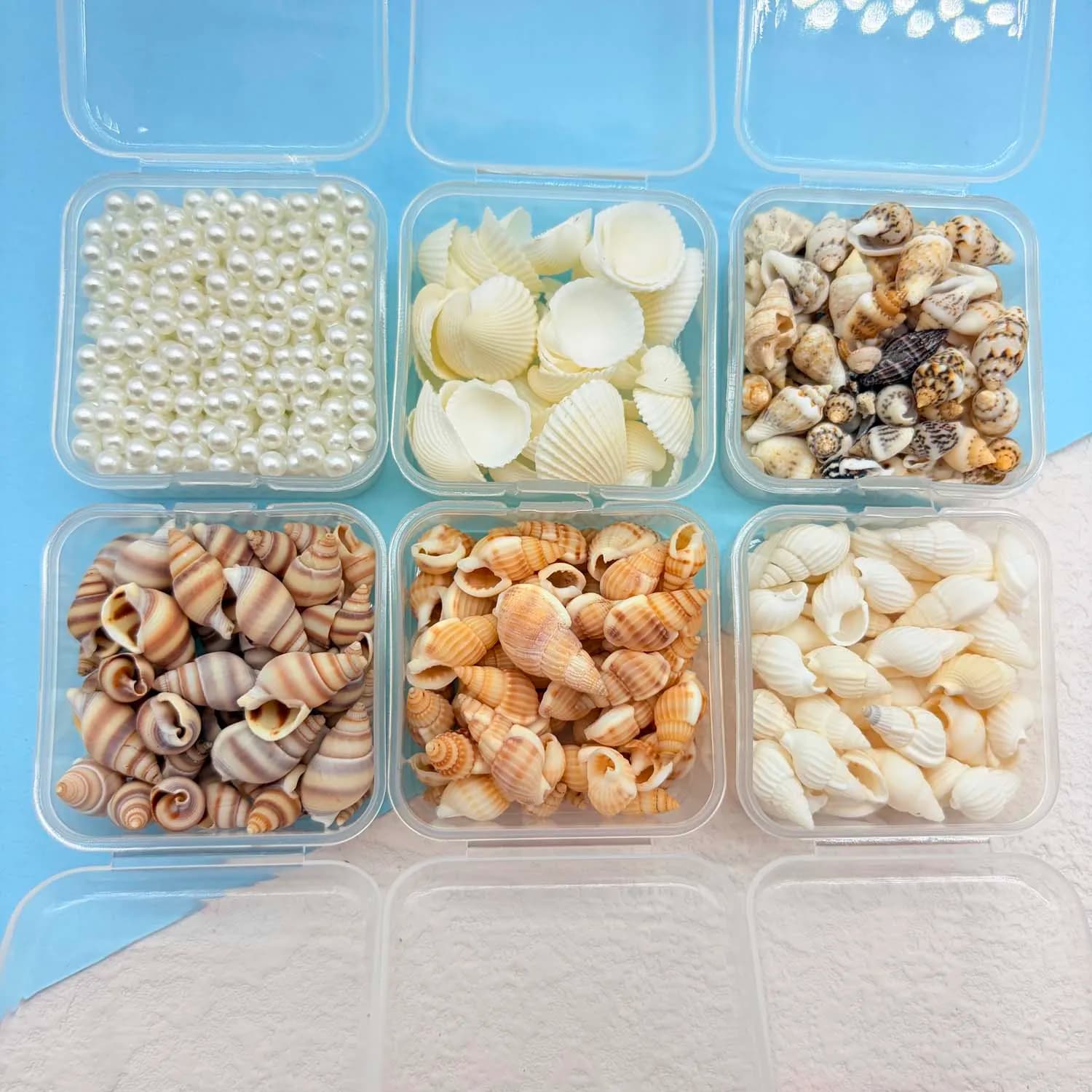 1 Caixa de Mini Conchas e Pérolas para Joias, Fabricação de Velas, Decoração, Mini Garrafa de Mensagens DIY, Decorações para Casamento na Praia e Casa