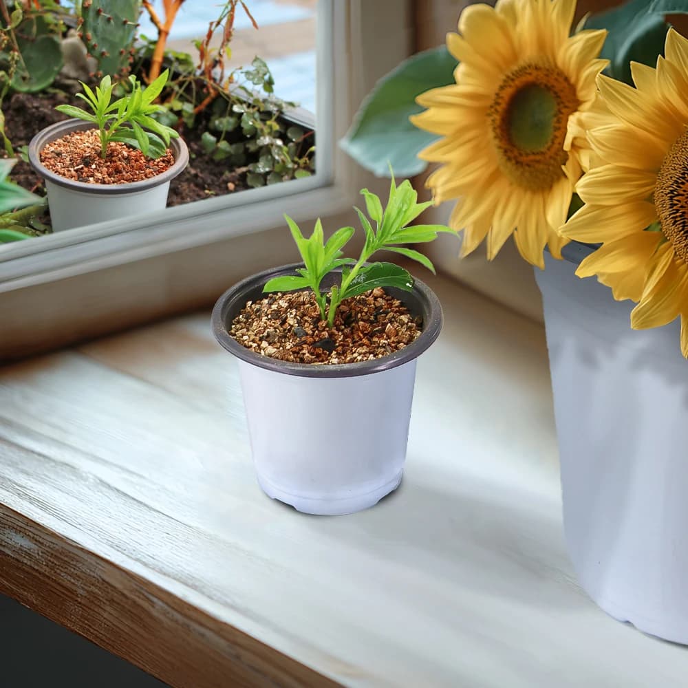 Vaso para plantas plástico respirável branco pequeno com planta verde em ambiente interno