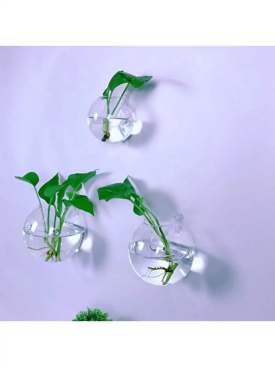 Kit 3 unidades terrários de vidro para parede com plantas hidropônicas e rega automática transparente