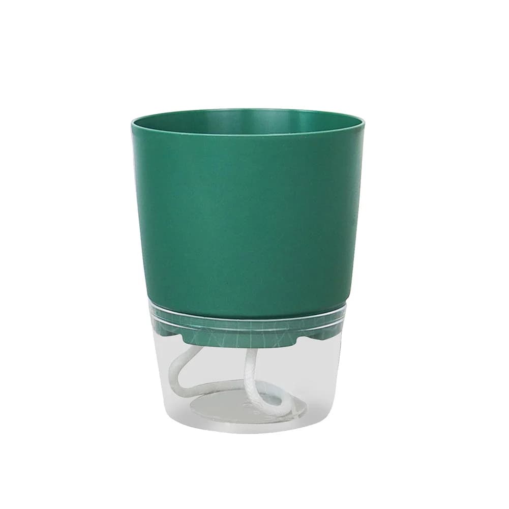 Vaso autoirrigável verde com base transparente e cordão para absorção automática de água