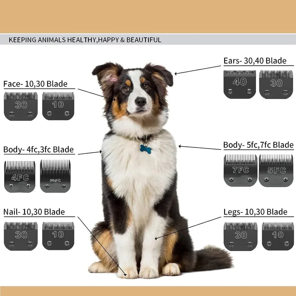 Lâminas de tosa para cães em aço inoxidável 3FC 4FC 5FC 7FC para face, corpo, orelhas, unhas e pernas