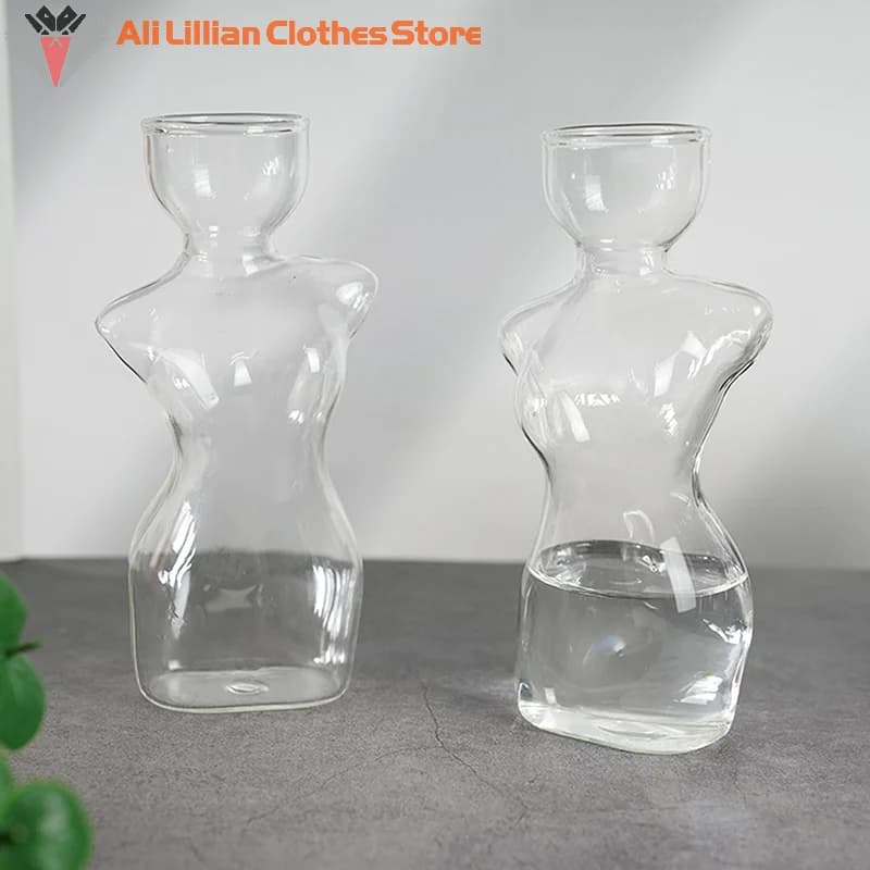 Kit de cultivo de sementes de abacate em vasos corporais de vidro transparente