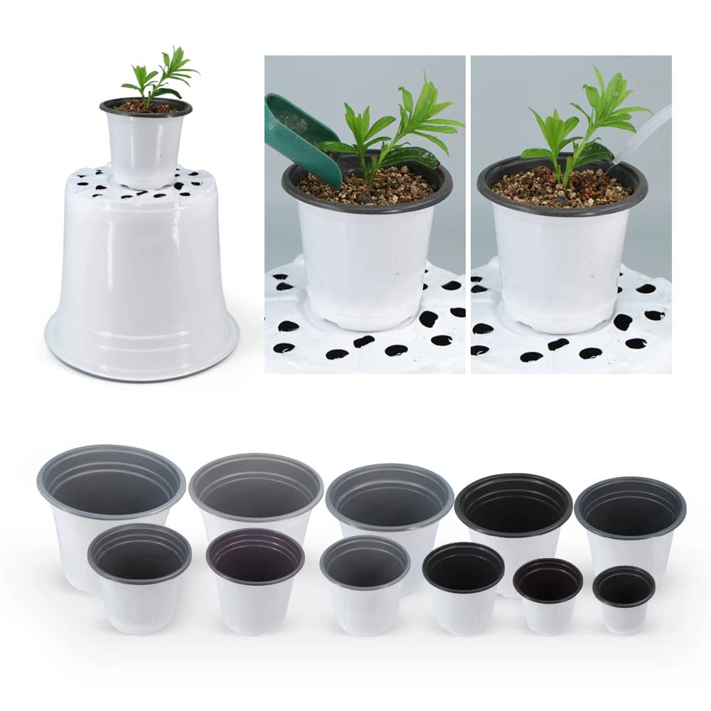 Vasos de plástico brancos e pretos para cultivo de plantas suculentas