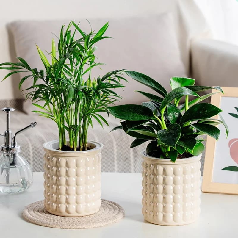 Mini vaso de flores auto-molhando plástico transparente, aquário, vasos de plantas, vaso de plantador, vaso para decoração de casa