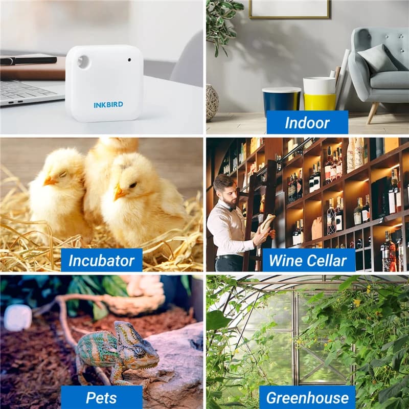 Termômetro higrômetro INKBIRD branco usado em ambientes internos, incubadoras, adegas, pets e estufas