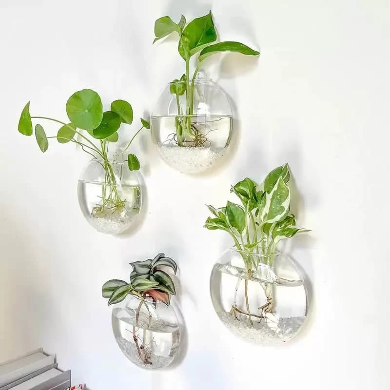 Kit 4 unidades terrários de vidro transparente para parede com plantas hidropônicas e rega automática