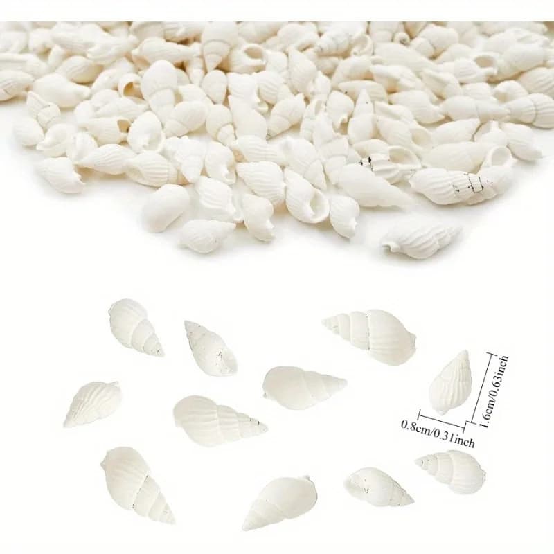 Conchas de molusco brancas em forma espiral para decoração e artesanato