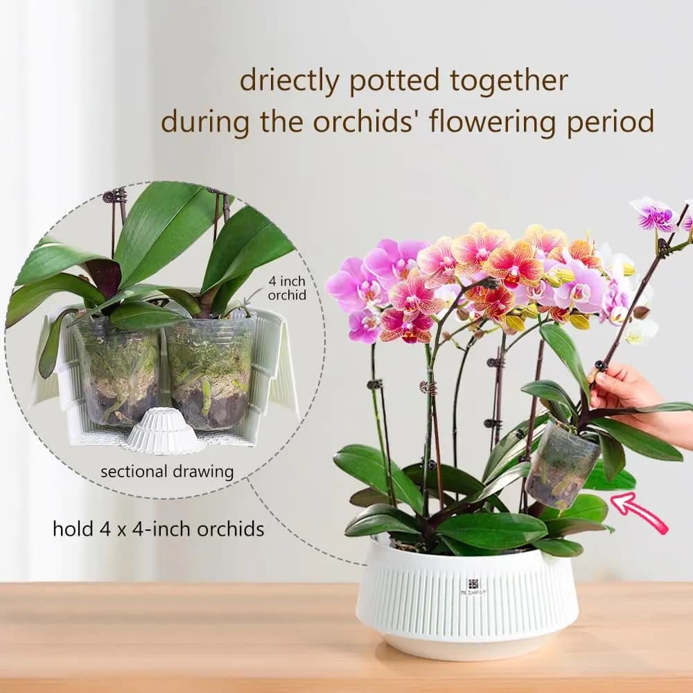 Vaso branco para orquídeas com furos para ventilação, suporte para 4 vasos de 4 polegadas