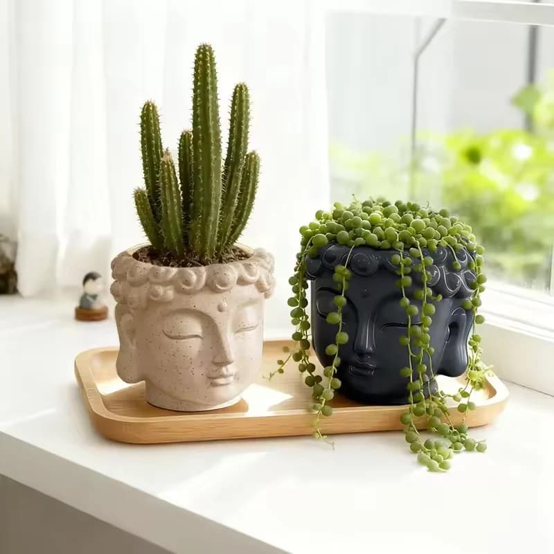 Conjunto de 2 vasos decorativos Buda em cerâmica branco e preto com plantas suculentas e cacto