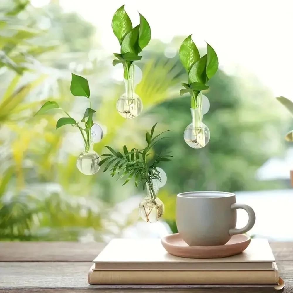 Vasos transparentes para plantas hidropônicas autoirrigáveis em ambiente com luz natural e decoração minimalista