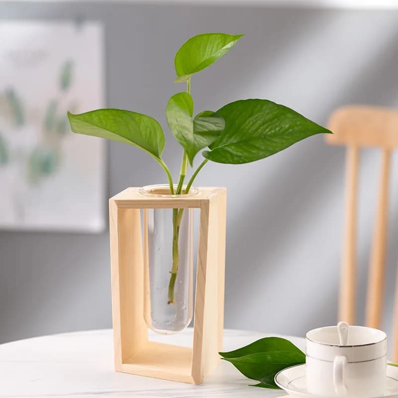 Vaso hidropônico de madeira natural e vidro transparente com planta verde em mesa branca
