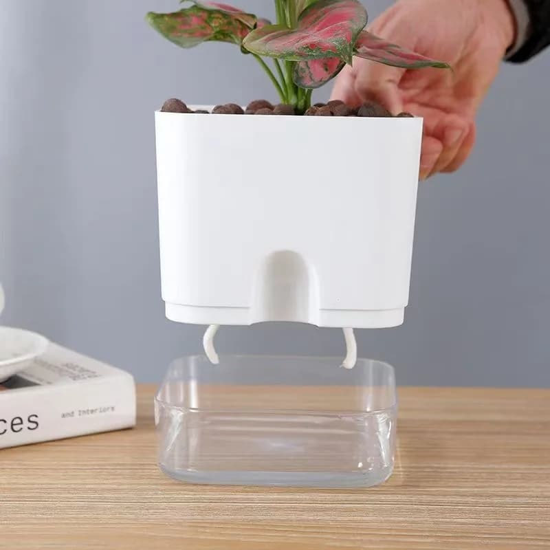 Vasos autoirrigáveis de plástico com plantas suculentas, tamanhos S, M e L