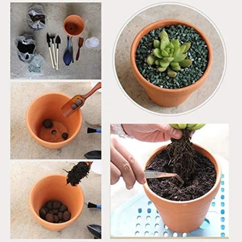 Passo a passo plantio em vaso terracota Jácotei com furo para drenagem e substrato