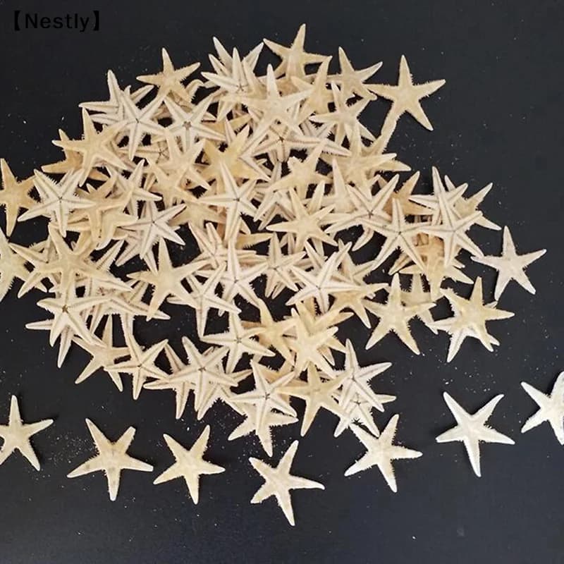 Conchas decorativas estrelas-do-mar naturais amarelo pálido 100 peças tamanho mini