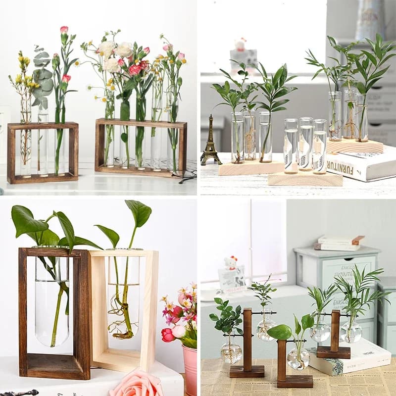 Vasos de plantas hidropônicos de madeira com vidro transparente