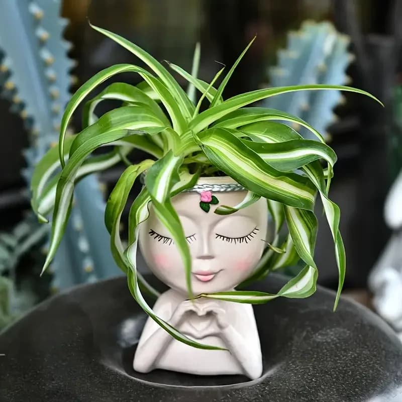 Vaso decorativo de resina marrom claro em formato de cabeça de senhora com suculenta verde