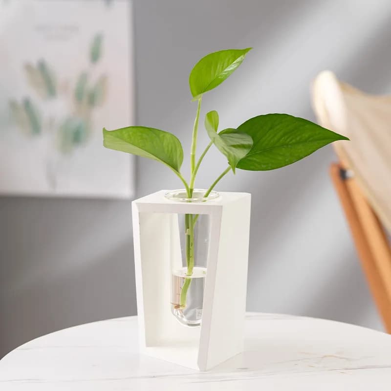 Vaso decorativo hidropônico branco de madeira e vidro com planta verde em mesa branca