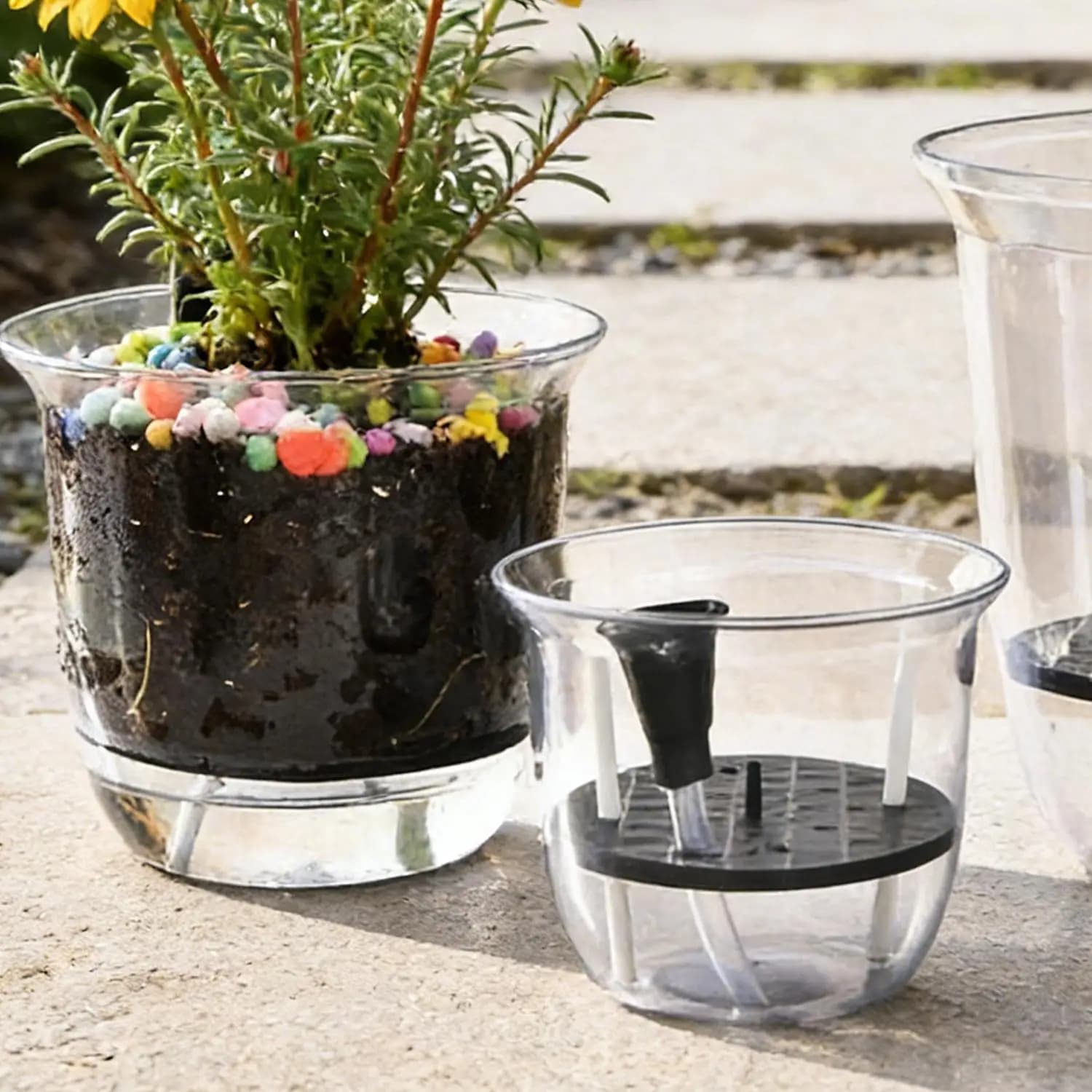 Vaso autoirrigável transparente camada dupla com planta e substrato colorido, conjunto 3 peças