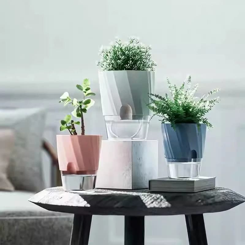 Vasos hidropônicos automáticos com absorção de água em um ambiente interno, com plantas verdes e uma mesa de madeira.