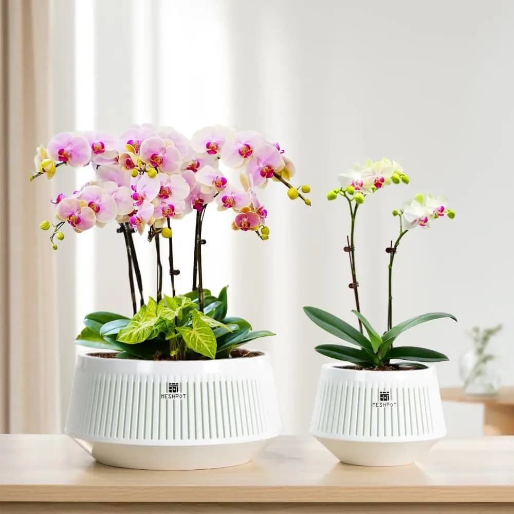 Conjunto de 2 vasos Jácotei brancos para orquídeas artificiais, estilo contemporâneo com ventilação