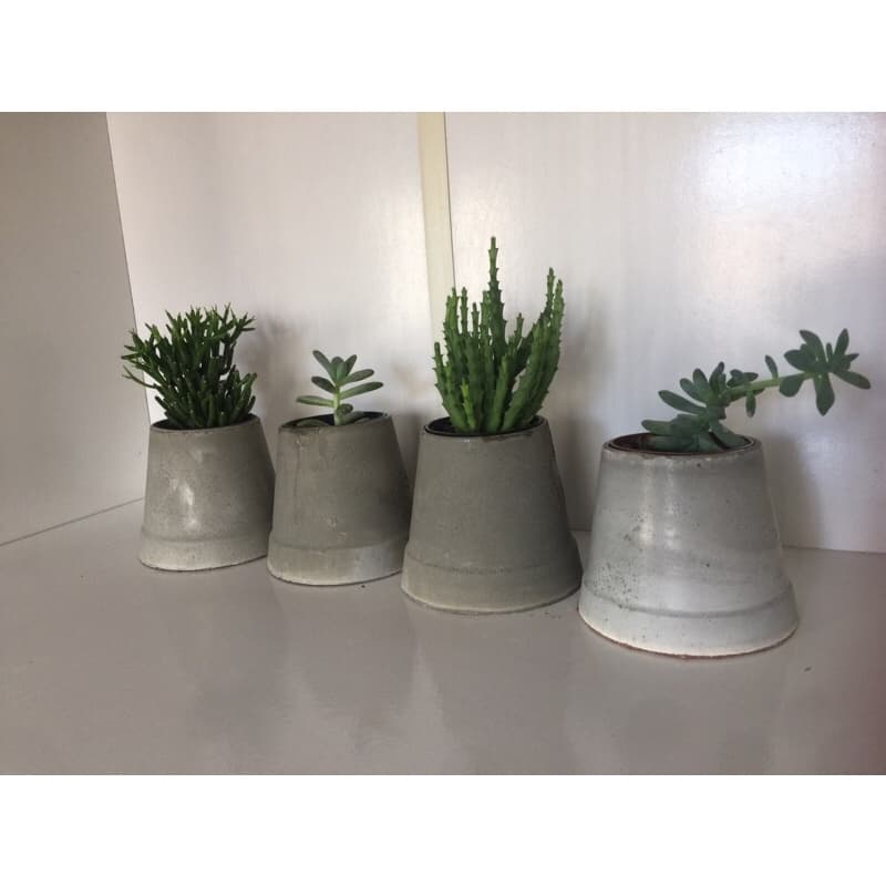 Quatro vasos de cimento cinza com plantas suculentas em uma superfície cinza