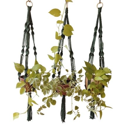 Suporte De Macramê Para Plantas artesanato Vasos Jardim Vertical Jardim Suspenso Suporte de Vasos